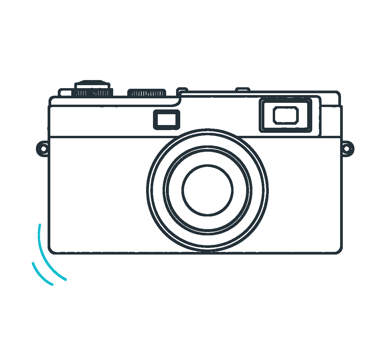 Collectible camera