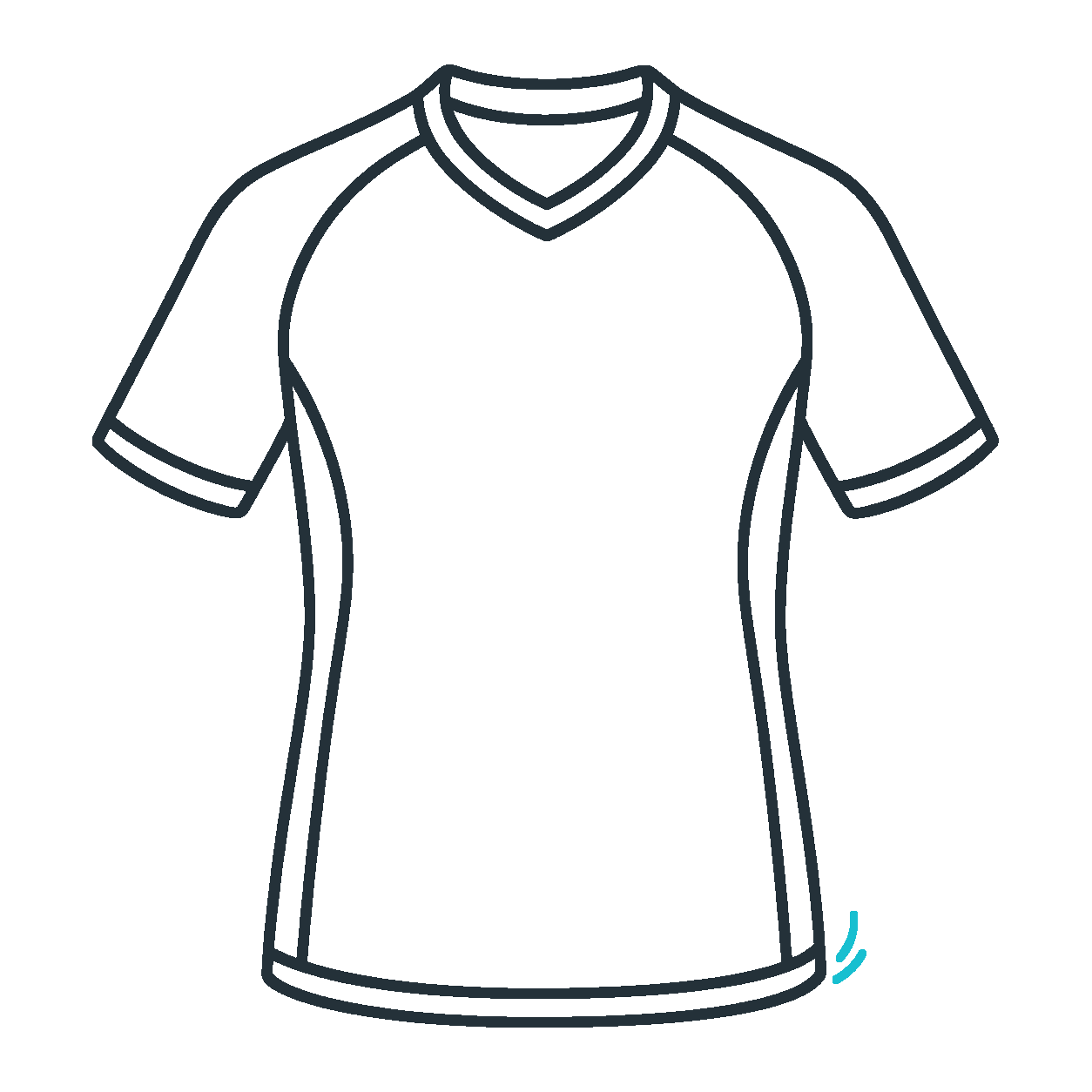 Collectible jersey