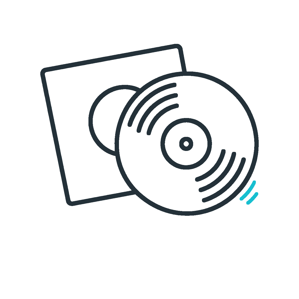 Vinyl record
